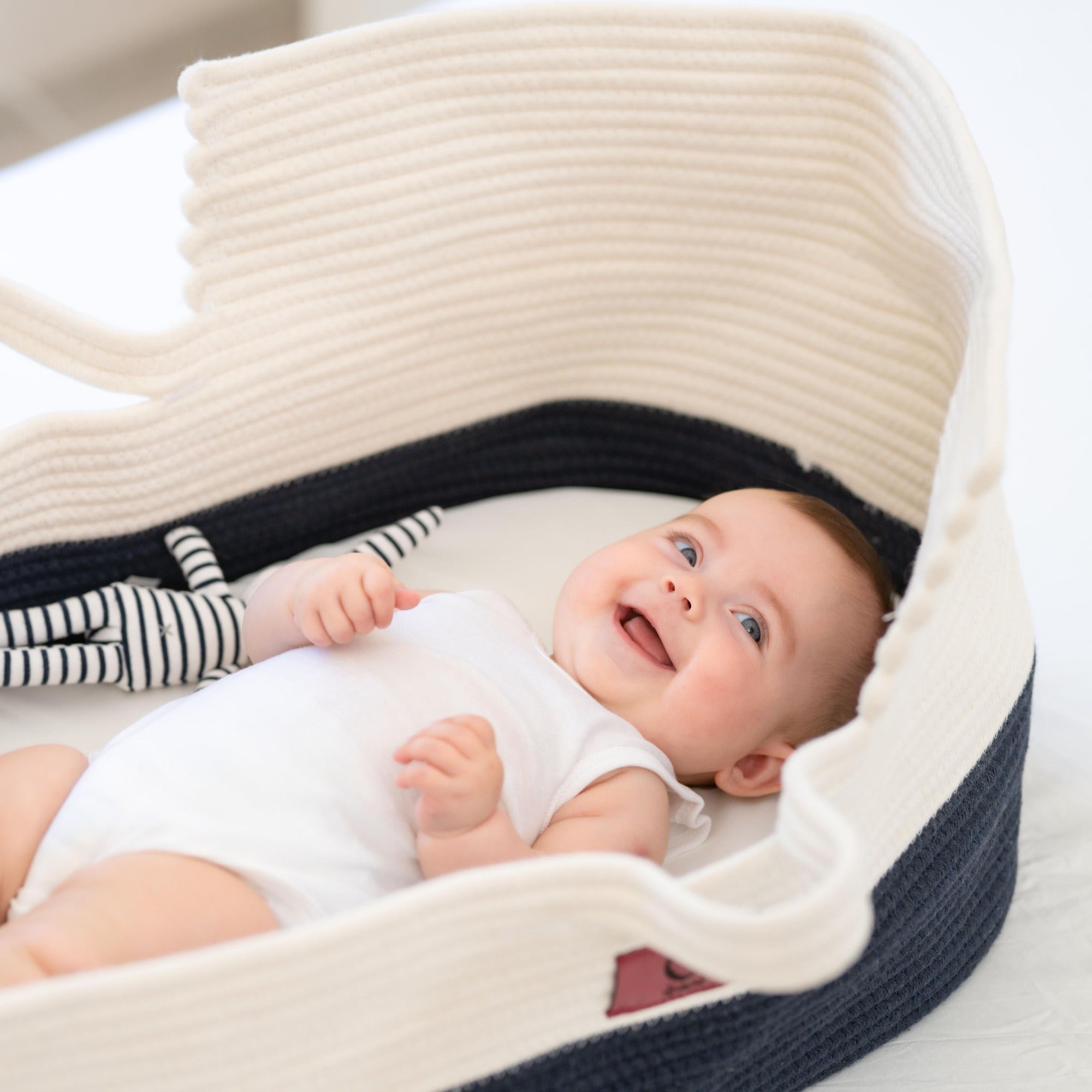 Organic Baby Moses Basket & Newborn Nest with Waterproof Pad