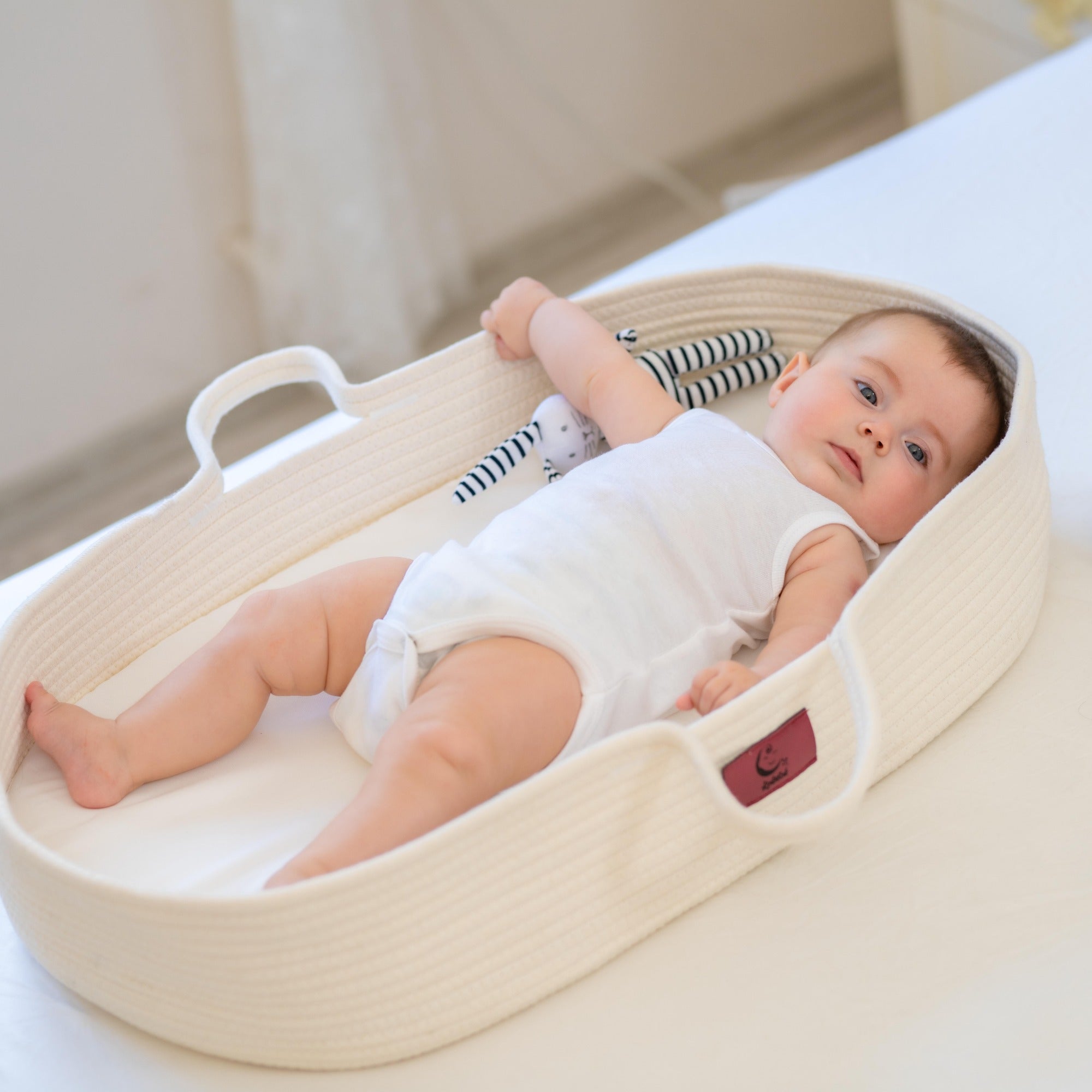 Organic Baby Moses Basket & Newborn Nest with Waterproof Pad